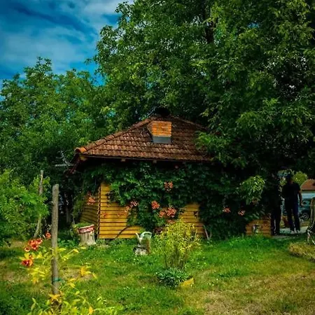 Dvor *
